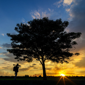 摄影师在树附近