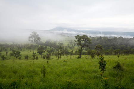 在泰国碧差汶山区多雾的早晨日出