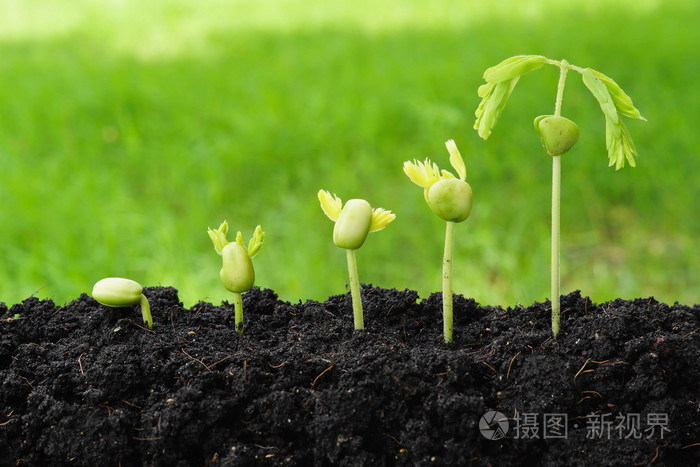 也可以放到室内亮光的地方