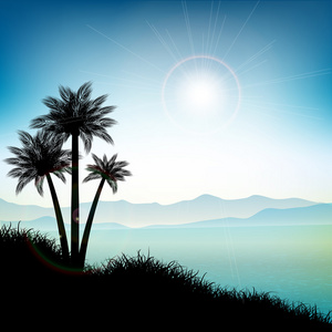 夏天风景与棕榈树