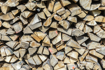 很多木桩。堆叠木材
