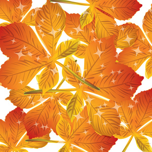 秋天的树叶矢量的模式