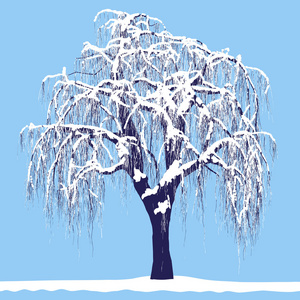 矢量绘图的那棵树在冬天详细矢量