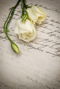 老手写的爱情信和白色的花朵图片