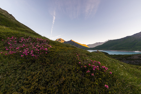 高山暮光之城图片