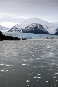 智利amalia 冰川景观