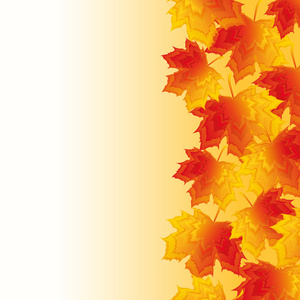 带红色和黄色枫叶秋天背景叶子