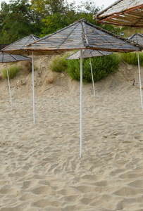在海滩上的雨伞