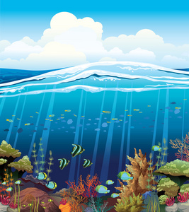 珊瑚礁和水下生物