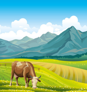 母牛和绿草地