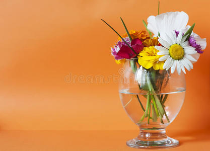 玻璃杯里的花