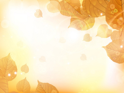 秋天的设计背景，与叶