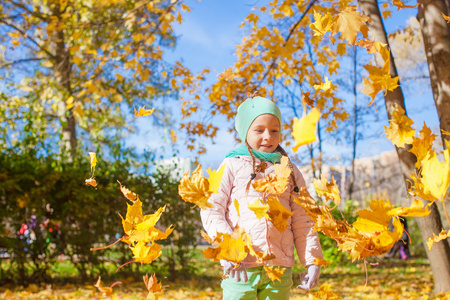 可爱的小女孩，与黄色枫叶在秋天公园户外叶