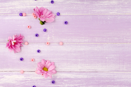 美丽的菊花，紫色的木制背景