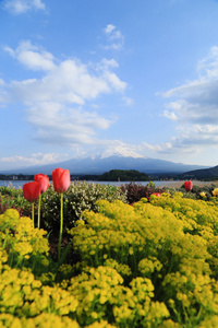 富士山，从湖河口湖的视图