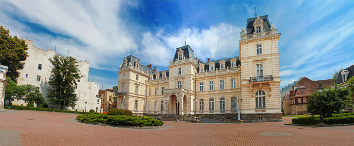 在利沃夫，乌克兰的 potocki 宫。目前利沃夫国家艺术画廊