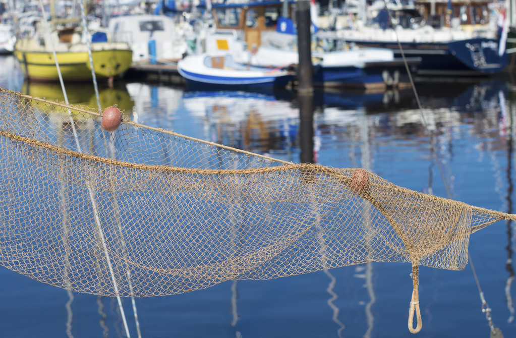 东海全面开渔后