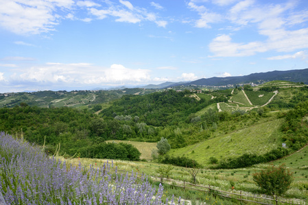 蒙弗拉托夏季景观意大利