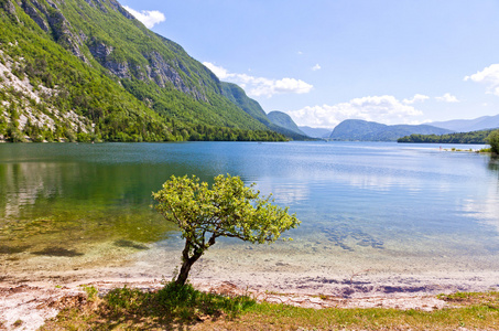 如画的风景的斯洛文尼亚渤兴湖