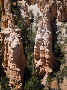 brycecanyon 是由于其地质结构，称为石林，从风 水和冰的河侵蚀形成独特和湖底沉积岩这些都是令人毛骨悚然，常常异想天开