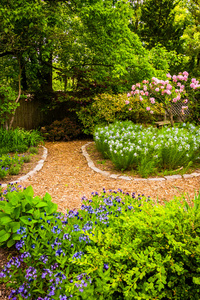 马里兰州巴尔的摩赛本植物园五颜六色的花园