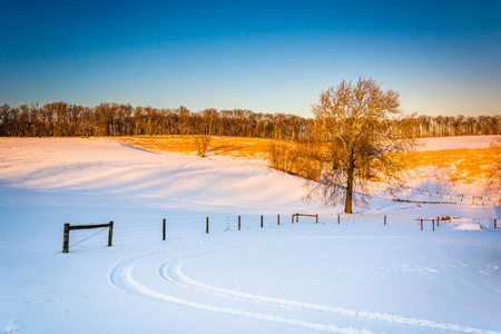 树和篱笆冰雪覆盖的田地里农村纽约县笔