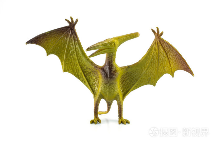 翼龙恐龙玩具