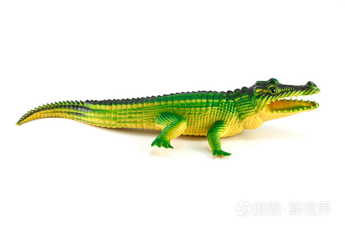 绿色鳄鱼玩具上白色孤立