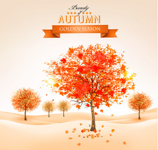 秋天的背景与五颜六色的树叶和树木。矢量说明