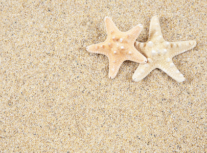 在沙海滩上的海星