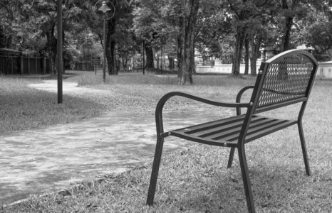 木公园的长凳上，在公共公园形象