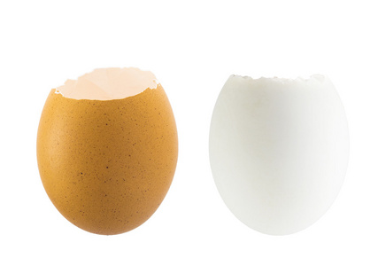 两种类型的蛋上白色孤立