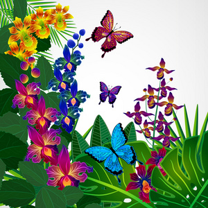 花艺设计背景。热带兰花花，叶和埠