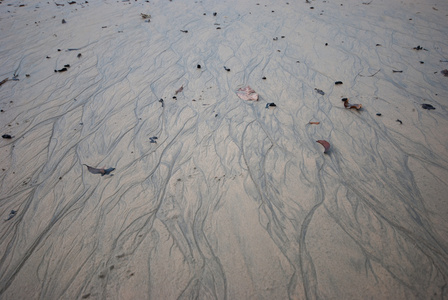 沙粒沙滩的纹理