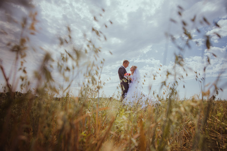 美丽的新娘和新郎站在草和亲吻。婚礼情侣时装拍摄