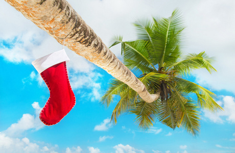 在棕榈树上的圣诞袜
