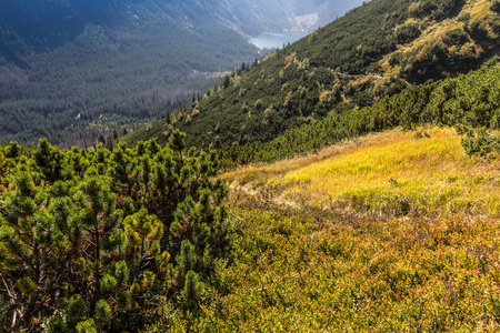 山 landscape.tatra 山脉波兰