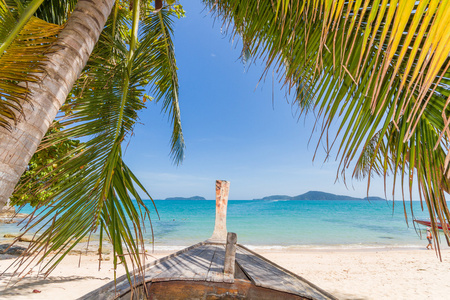 棕榈树在沙滩上。泰国