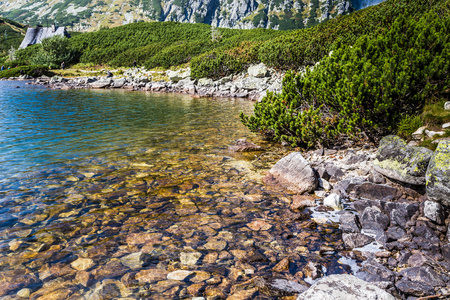 5 湖泊流域 tatra 山脉的高山湖泊