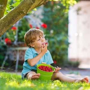 在家里的花园中吃树莓的可爱小学龄前男孩