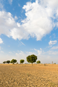 农业犁过的土地在沙漠中的字段
