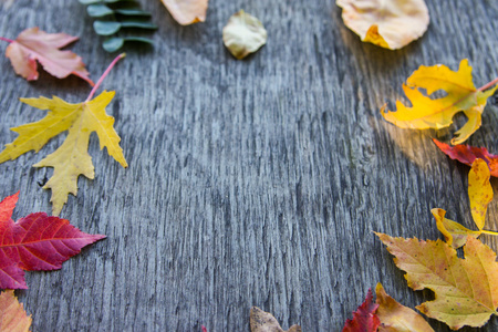 秋季用木制板上的彩色树叶背景