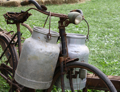 着两个老送奶的生锈自行车牛奶罐和破碎的