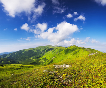 高山