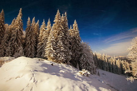 雪山