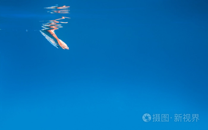 年轻女子水下游泳照片-正版商用图片1gt018-摄图新视界