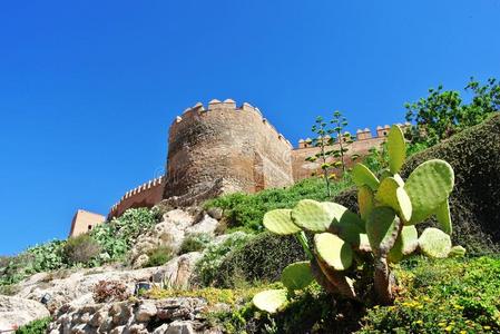 阿尔卡扎巴要塞在阿尔梅里亚，安达卢西亚