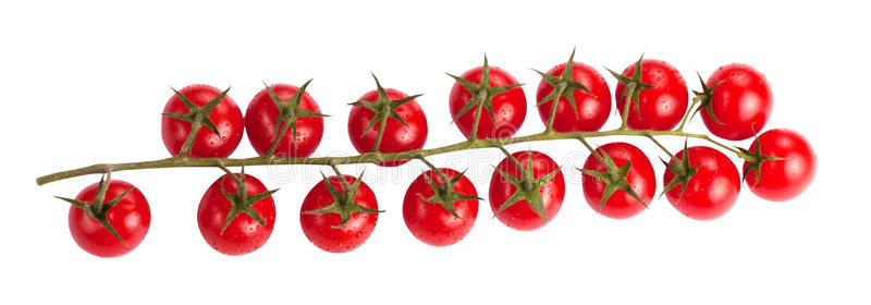 烹饪 樱桃 特写镜头 番茄 自然 农业 维生素 素食主义者