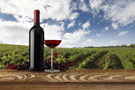 葡萄园景观带瓶，葡萄酒和葡萄