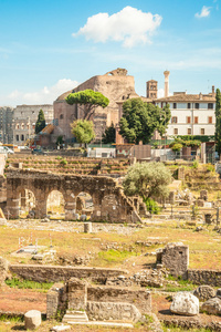 罗马广场的废墟